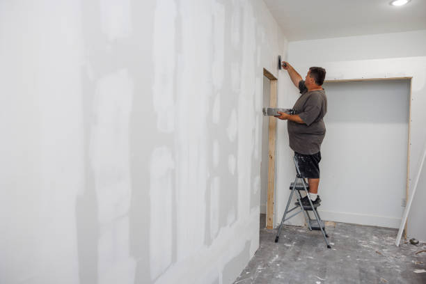 Best Real Estate Mold Inspection  in Scottsville, KY