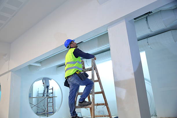 Best Mold Remediation for Healthcare Facilities  in Scottsville, KY